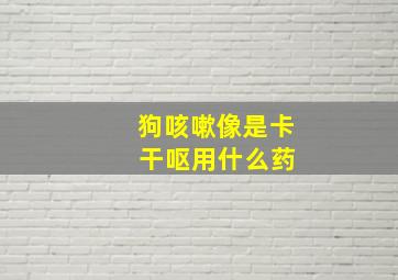 狗咳嗽像是卡 干呕用什么药